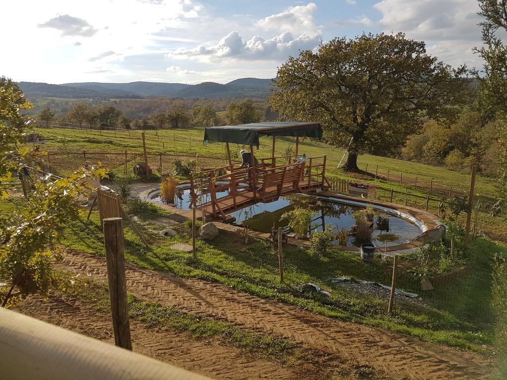 Agriturismo Collelungo Di Maremma Diaccialone Exterior foto