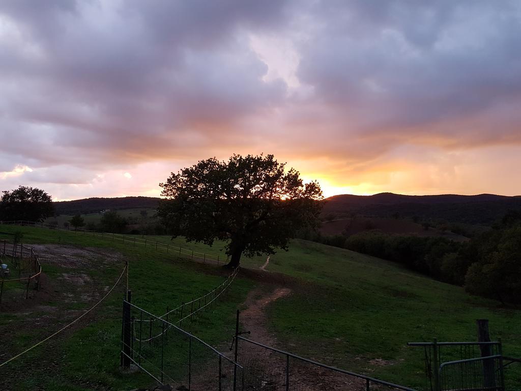 Agriturismo Collelungo Di Maremma Diaccialone Exterior foto